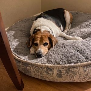 Meet your Posher, Vivian